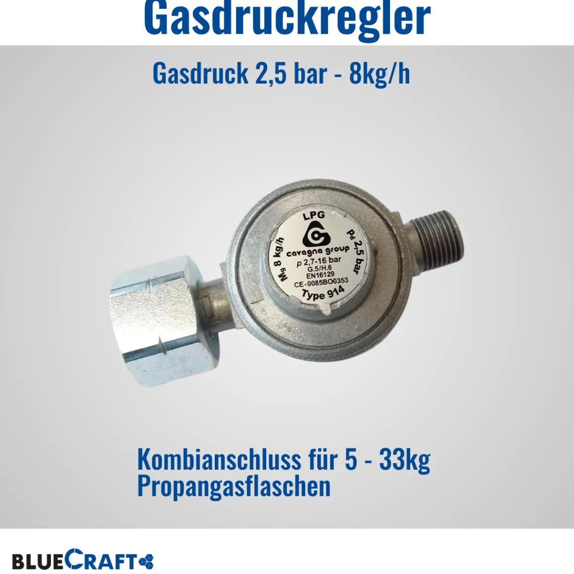 Abflammgerät Auftaugerät mit Piezozündung Unkrautvernichter 69 kW mit Gas-Druck-Regler