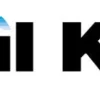 Broil King 4-fach Zünder ab 2016