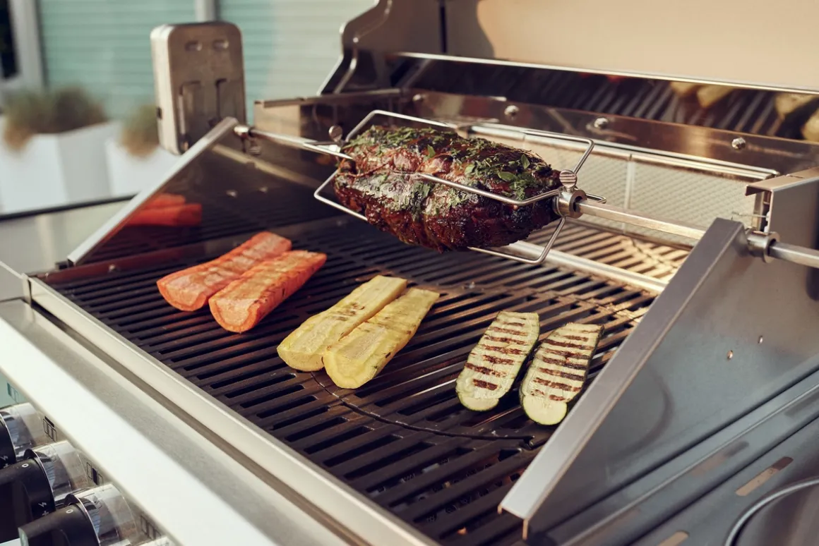 Enders Edelstahl-Grillspieß für Hyde 6