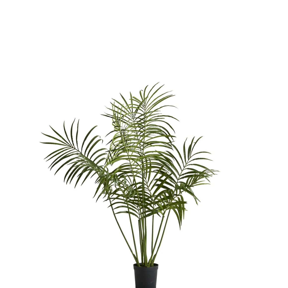 Flora Kentia Kunstpflanze Palme 60x60x130 cm
