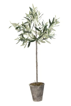 Flora Kunstpflanze Olivenbaum 13x13x73 cm