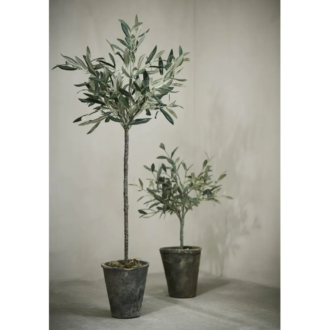 Flora Kunstpflanze Olivenbaum 13x13x73 cm