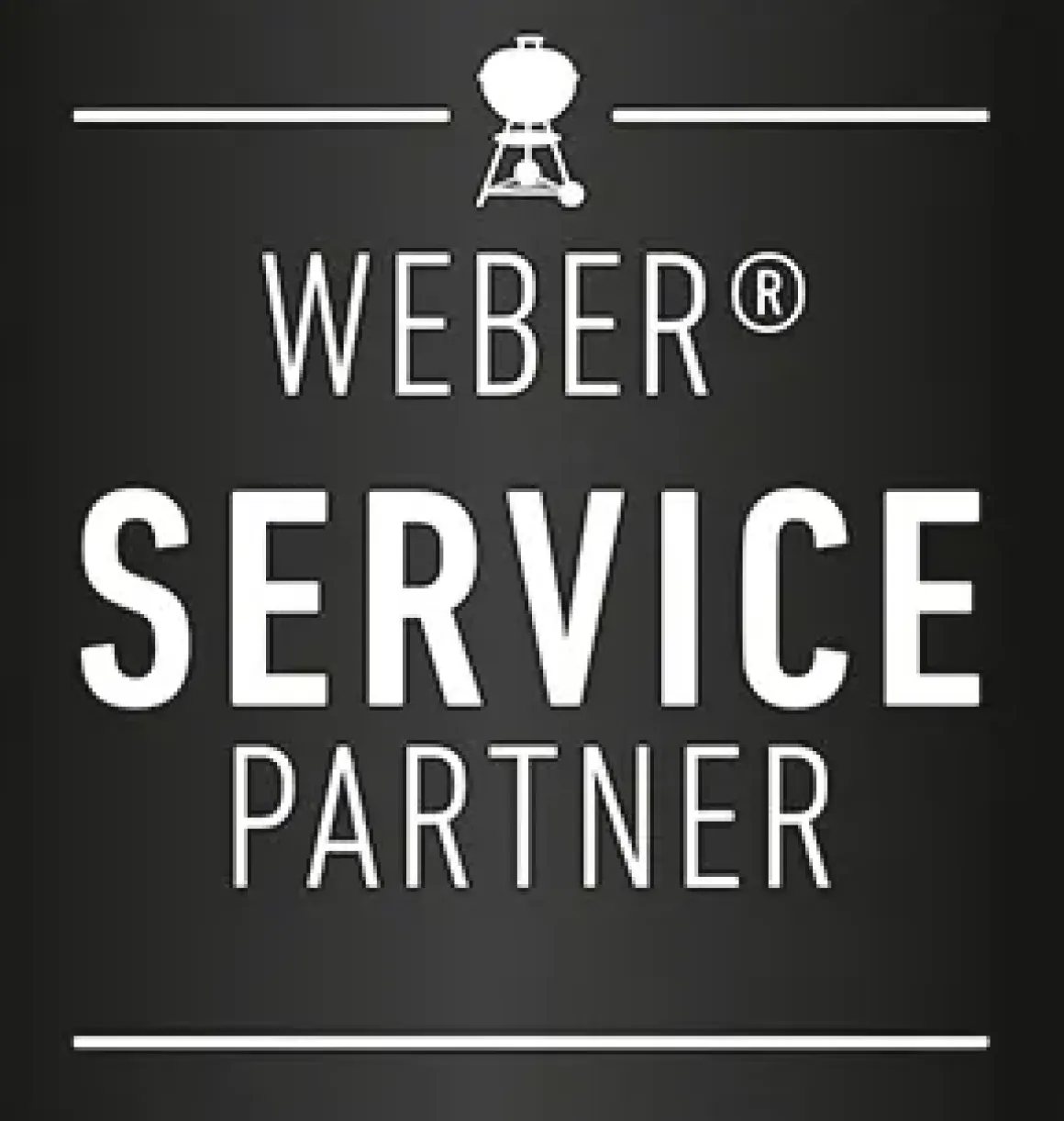 Frontblende Summit 650 - Weber