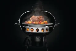Napoleon Holzkohlering & Diffusor-Platte