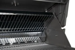 Napoleon Prestige 665 Connected mit Sizzle Zone und Heckbrenner