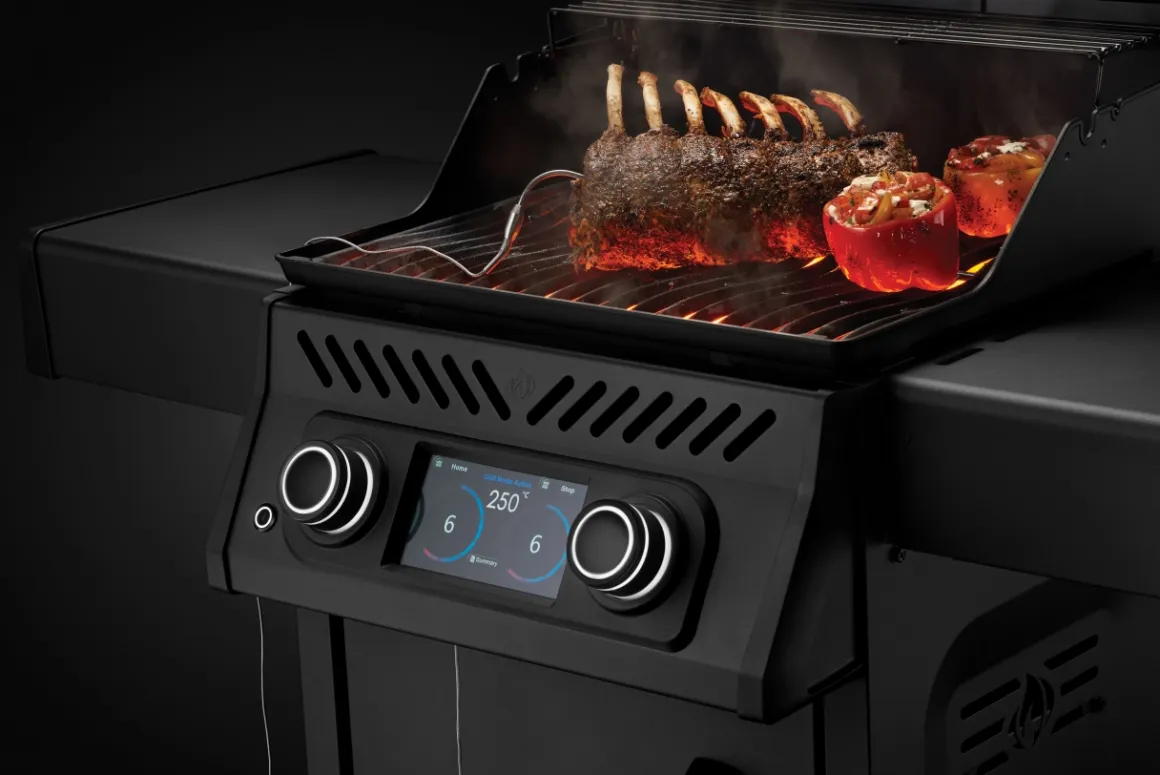 Napoleon Rogue EQ 365 Elektro-Grill mattschwarz
