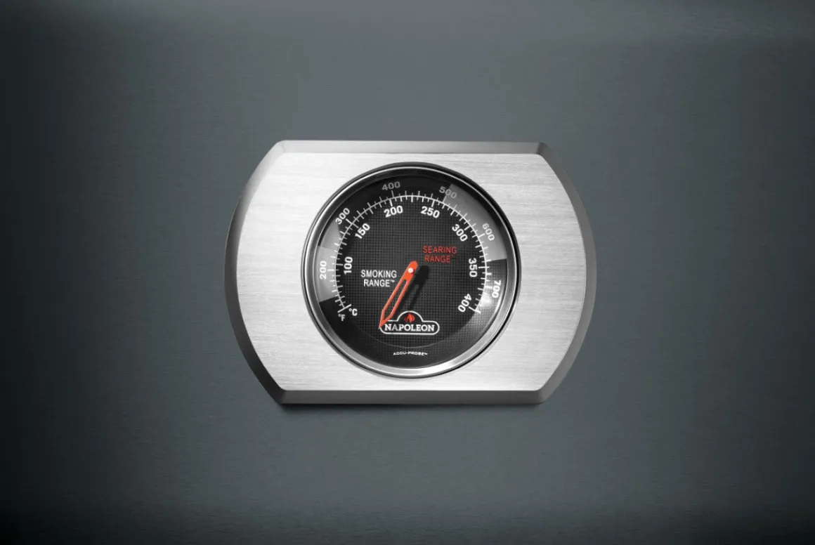 Napoleon Rogue Pro 425 Charcoal