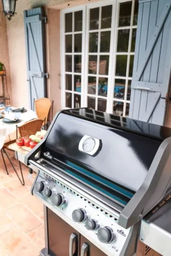 Napoleon Rogue PRO-S 525 mit Gussrosten mit Backburner und Sizzle Zone