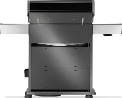 Napoleon Rogue PRO-S 525 mit Gussrosten mit Backburner und Sizzle Zone