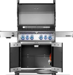 Napoleon Rogue PRO-S 525 mit Gussrosten mit Backburner und Sizzle Zone