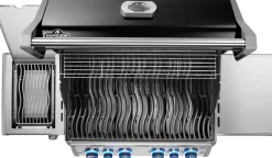 Napoleon Rogue PRO-S 525 mit Gussrosten mit Backburner und Sizzle Zone