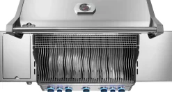 Napoleon Rogue PRO-S 625 mit Infrarot-Seiten (Sizzle Zone)- und Heckbrenner