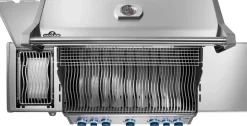 Napoleon Rogue PRO-S 625 mit Infrarot-Seiten (Sizzle Zone)- und Heckbrenner