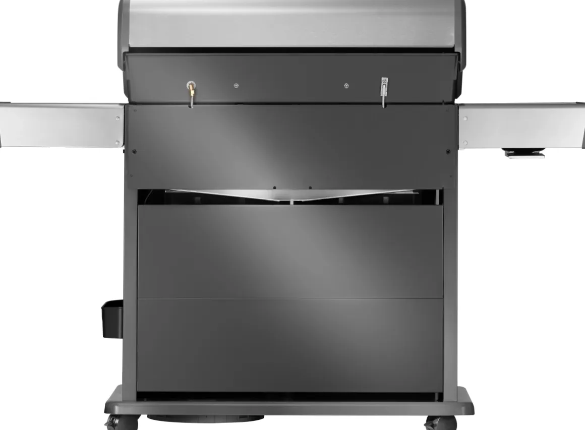Napoleon Rogue PRO-S 625 mit Infrarot-Seiten (Sizzle Zone)- und Heckbrenner