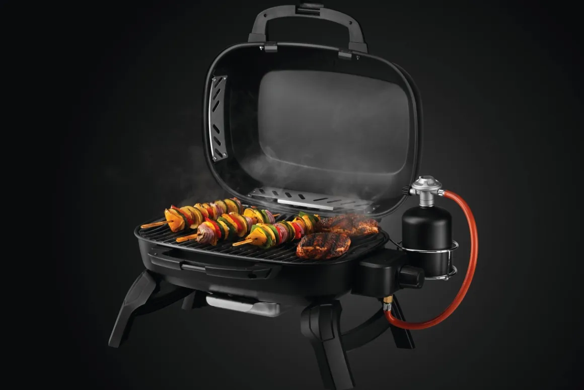 Napoleon Travel Q 240 mobiler Camping-Gasgrill