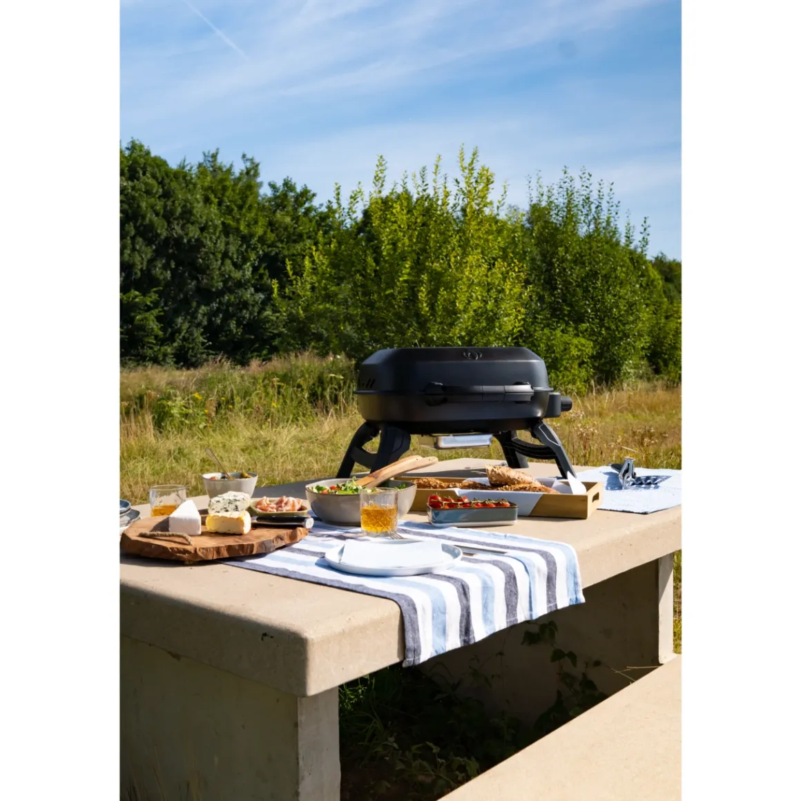 Napoleon Travel Q 240 mobiler Camping-Gasgrill