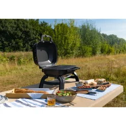 Napoleon Travel Q 240 mobiler Camping-Gasgrill