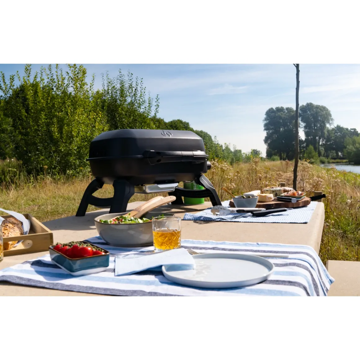 Napoleon Travel Q 240 mobiler Camping-Gasgrill
