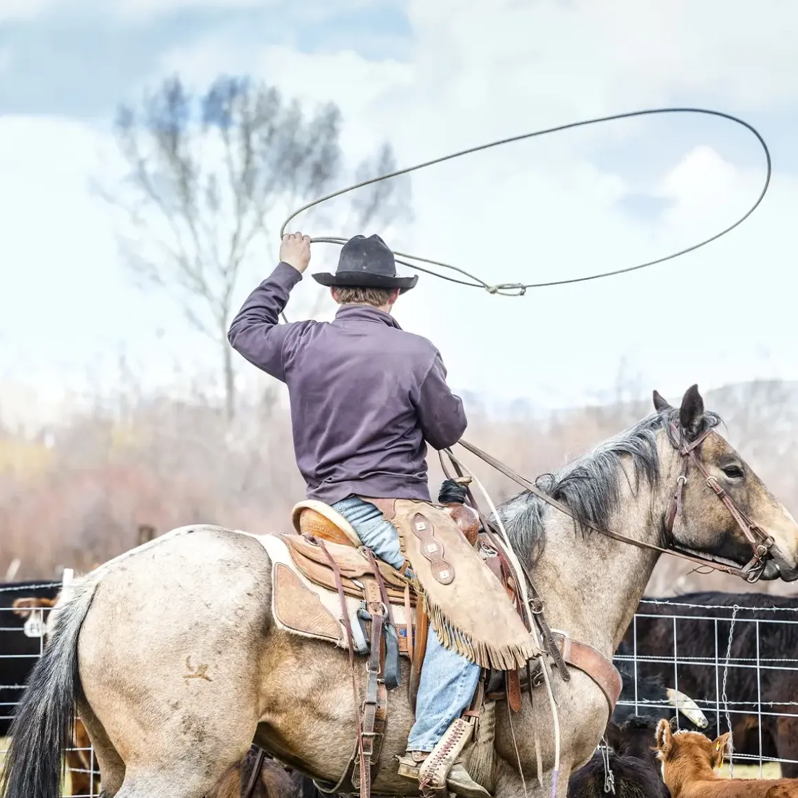 S&E Grillakademie Silber Cowboy BBQ