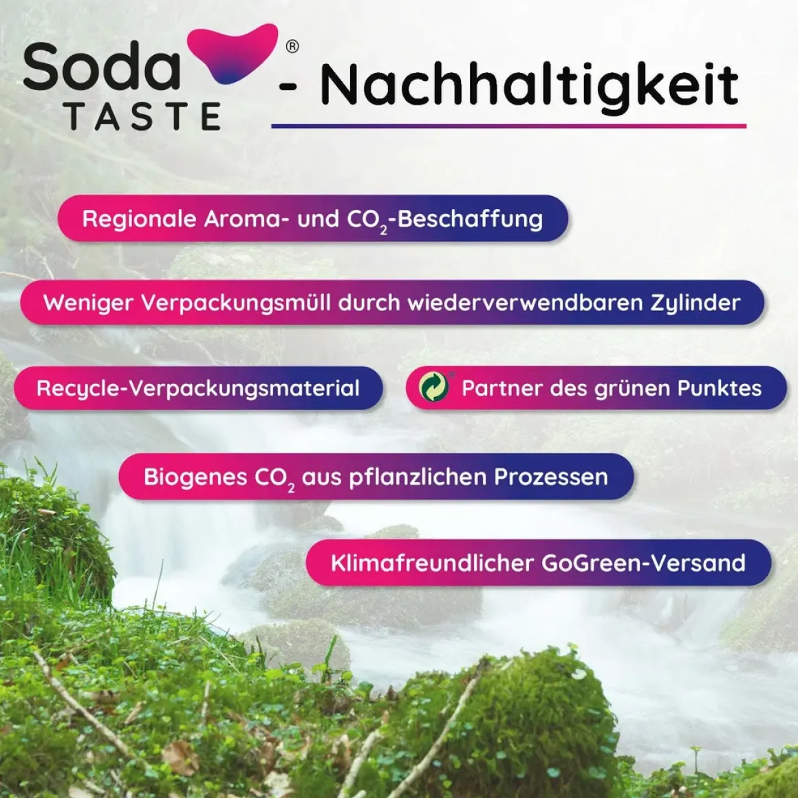 SodaTaste Co2 Aromazylinder Kokosnuss 425g