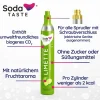 SodaTaste Co2 Aromazylinder Limette 425g