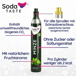 SodaTaste Co2 Aromazylinder Minze 425g