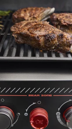 Weber Genesis E-330 WR Stealth Edition inklusive Drehspieß