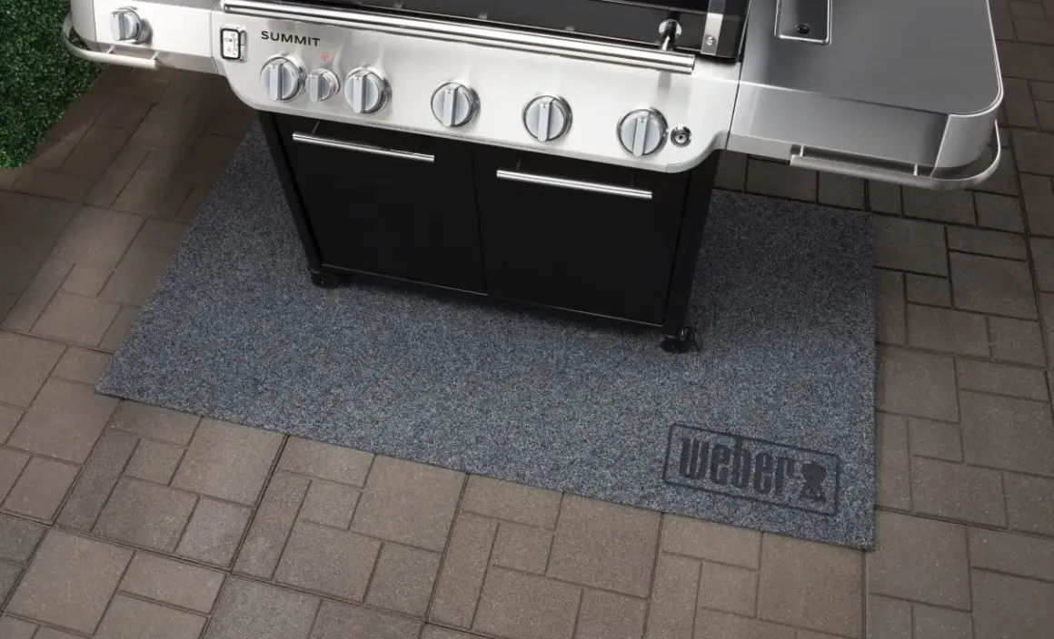 Weber Summit FS38 E Gasgrill schwarz
