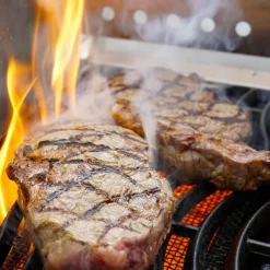 Windschutz für Napoleon und Broil King 800 Grad Seitenkocher | Sizzle Zone (groß) mit Spießauflage